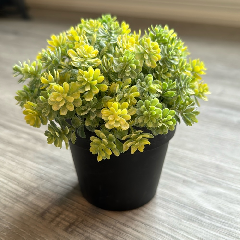 Artificial plant